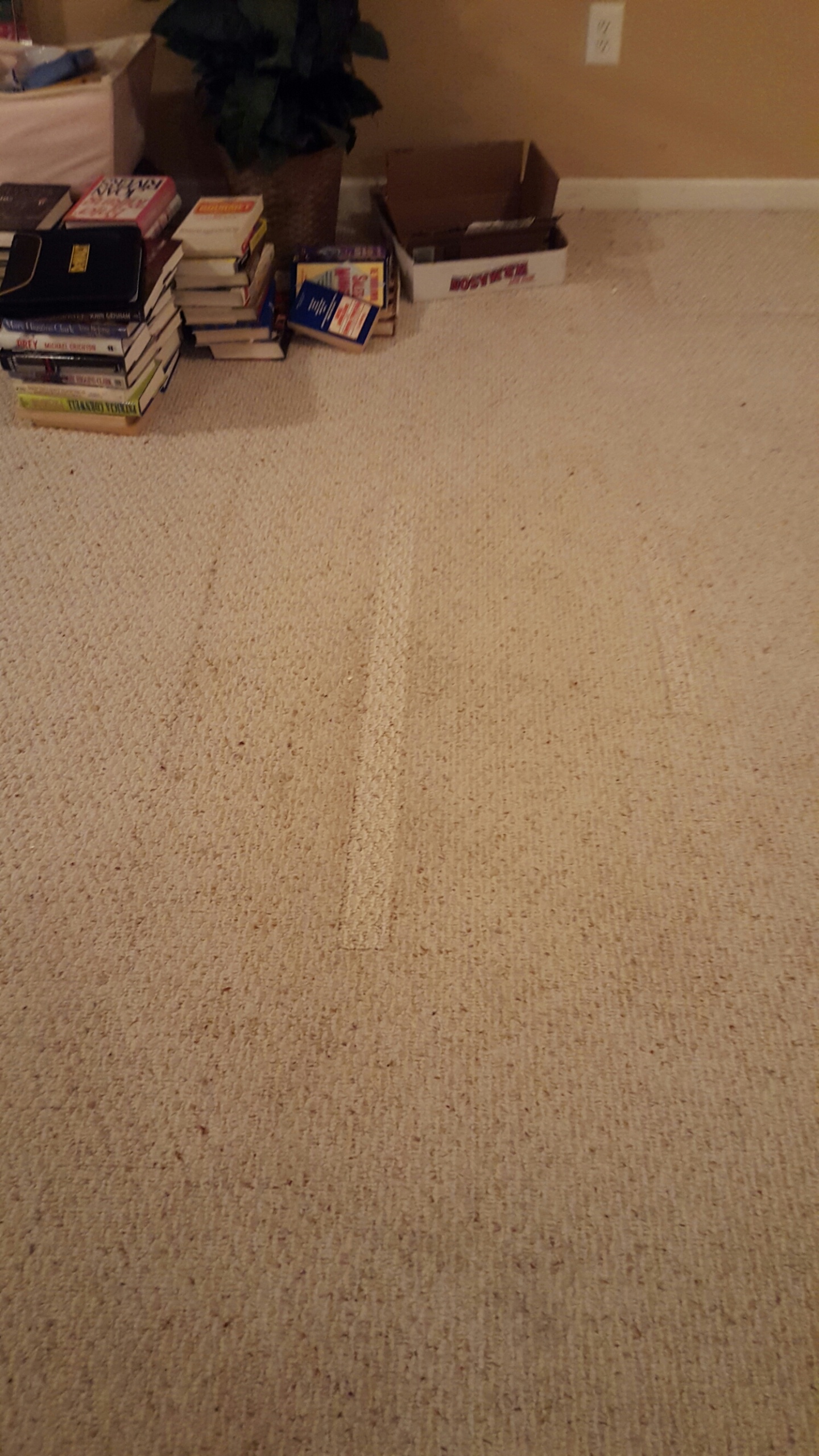 Repaired Pulls in Berber Carpeting in Egg Harbor Township NJ Carpet