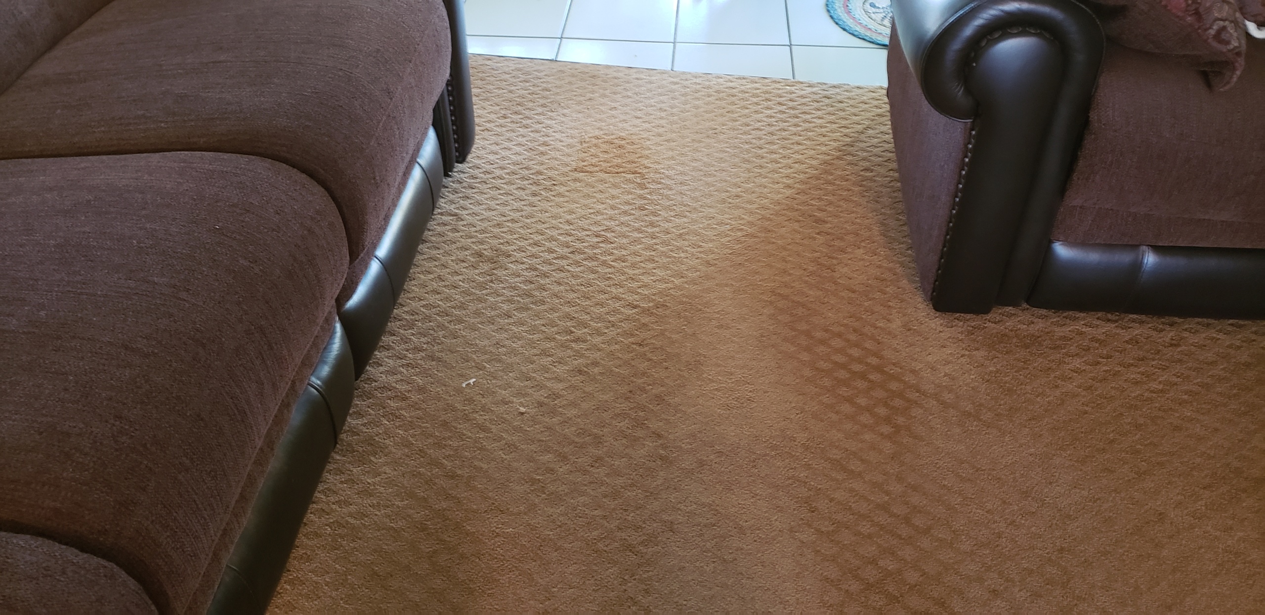 Restretched Patterned LowPile Berber Carpeting & Repaired Bleach Spots