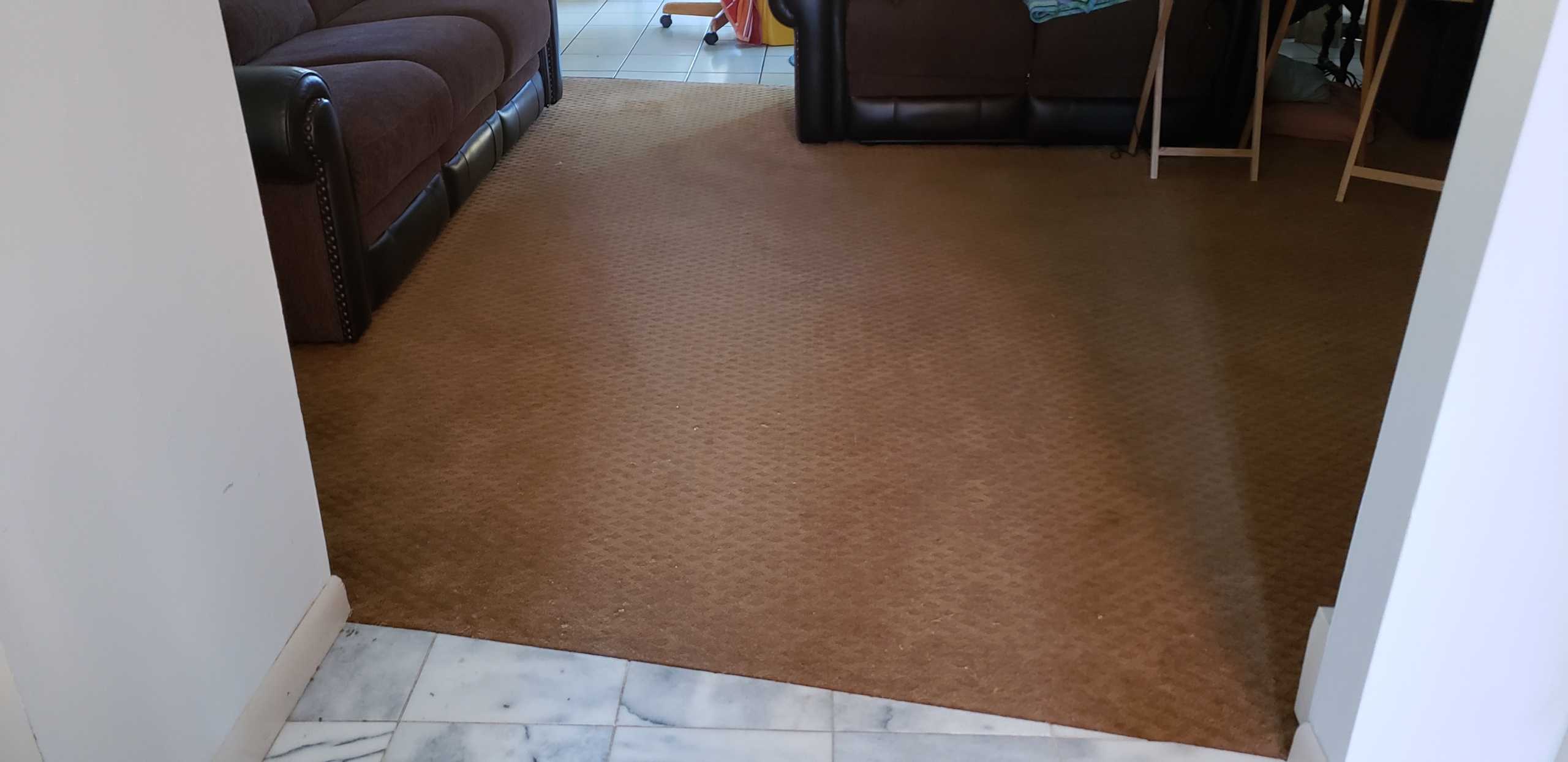 Restretched Patterned LowPile Berber Carpeting & Repaired Bleach Spots
