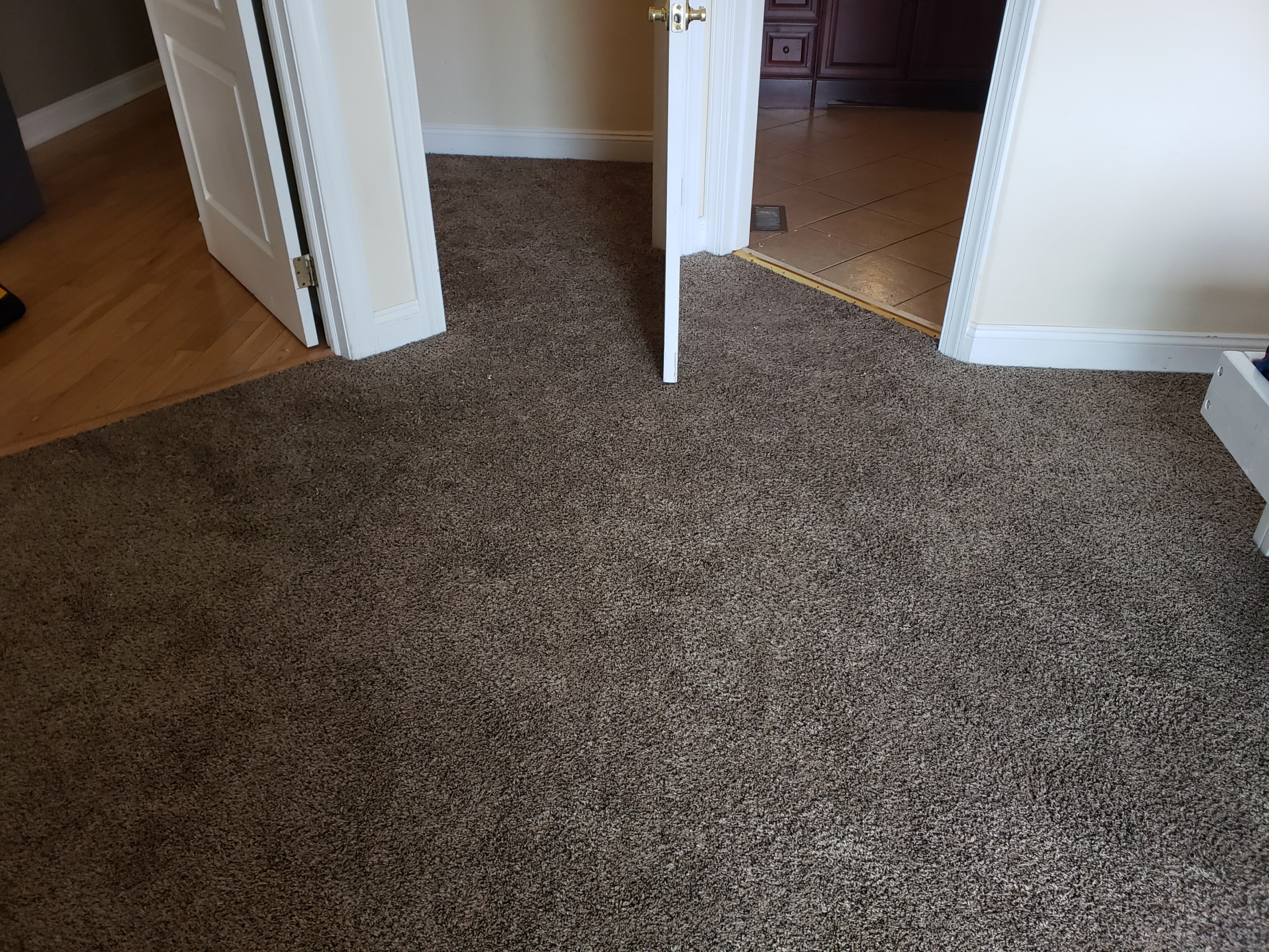 Repaired Pulls in Berber Carpeting and Restretched LowPile Plush