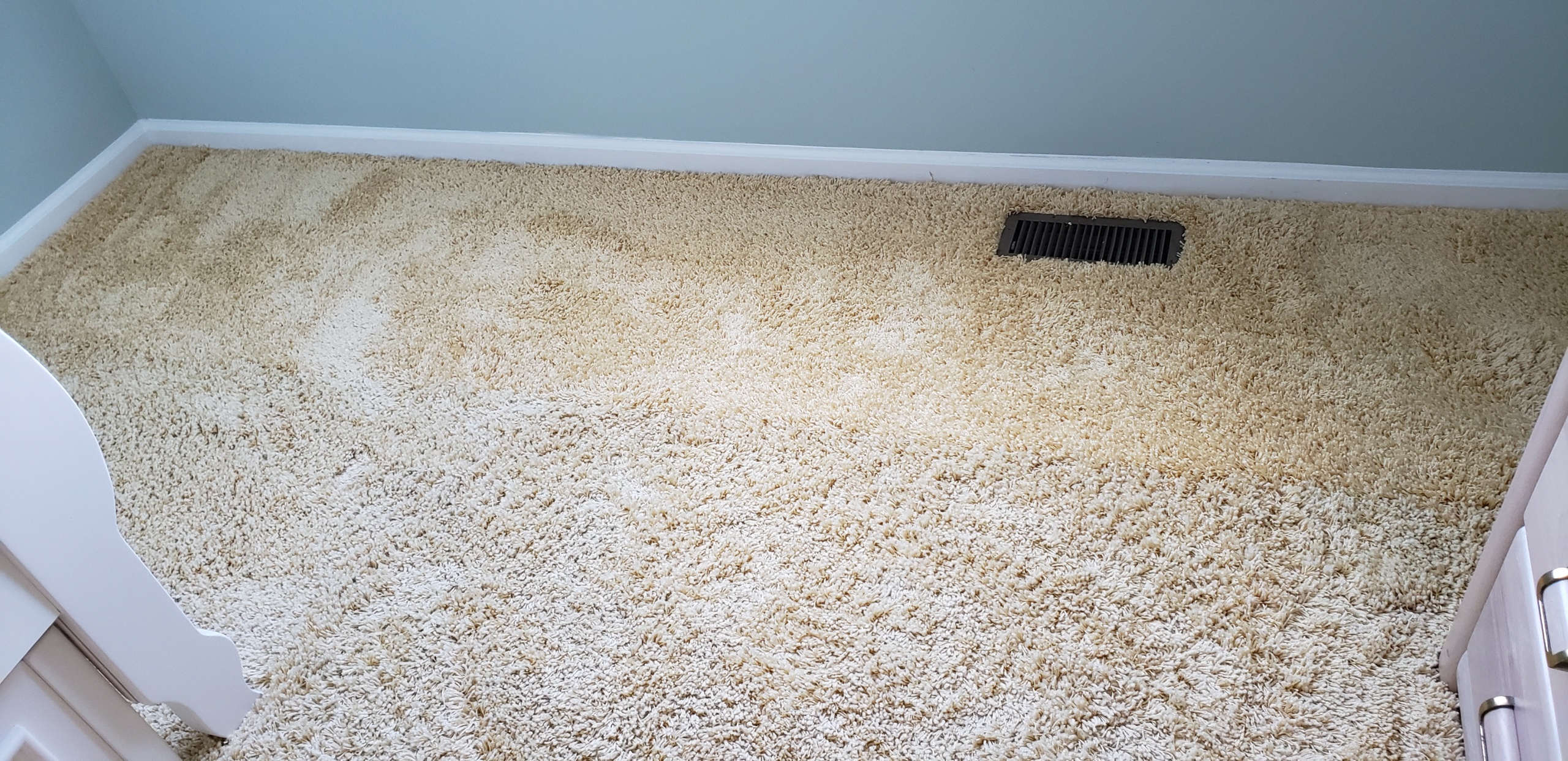 Repaired Thick Frisee Carpeting damaged from Mold in North Wildwood NJ
