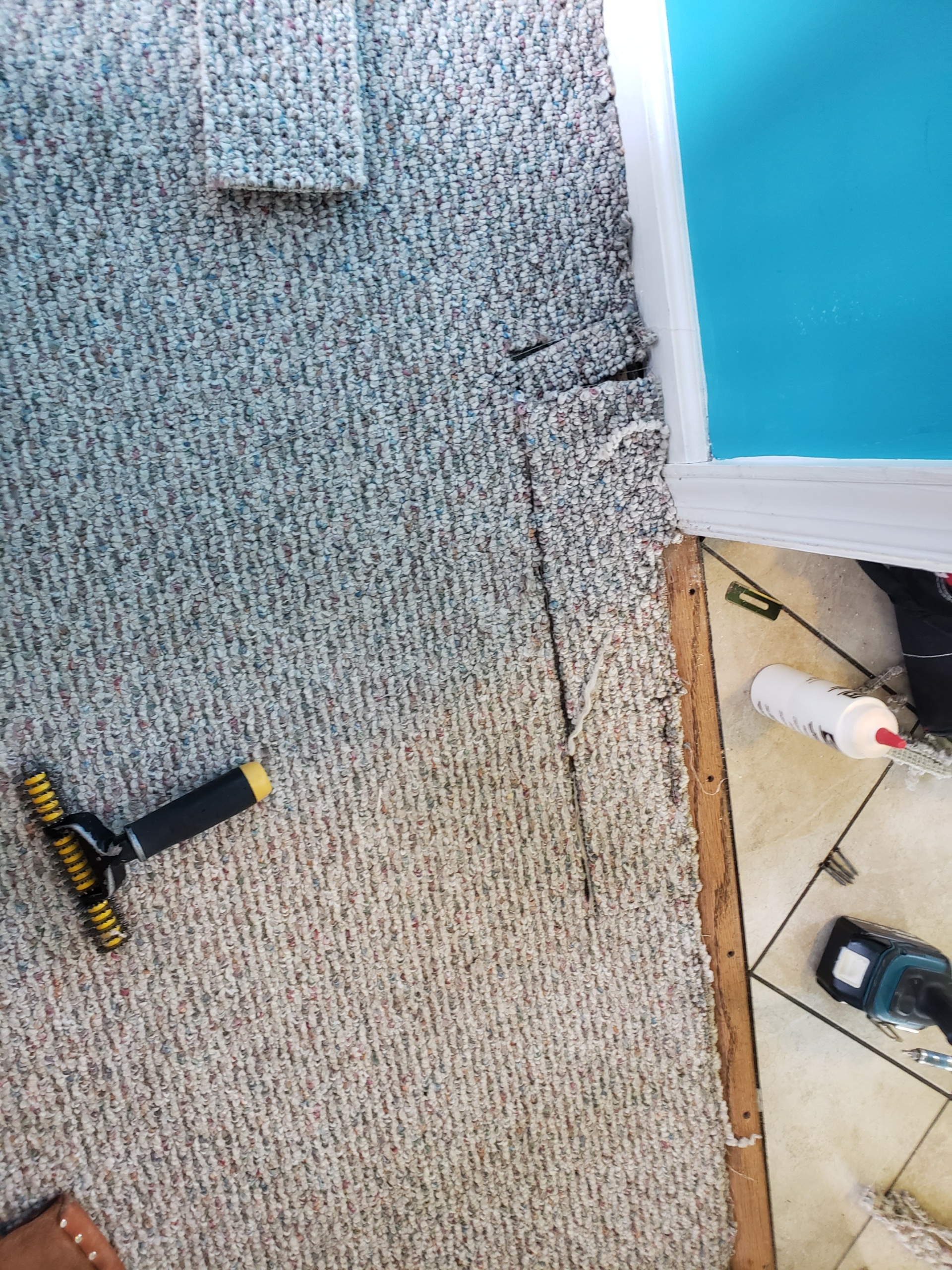 Repaired Pulls in Berber Carpeting and Restretched LowPile Plush